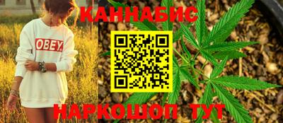 тгк Новозыбков