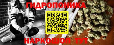 тгк Новозыбков