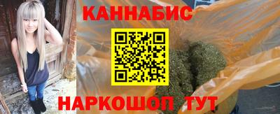 тгк Новозыбков