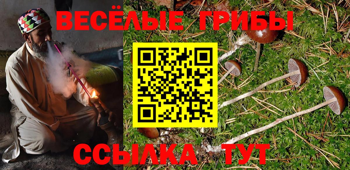 Галлюциногенные грибы Psilocybe  Вход с VPN  Томск  Галлюциногенные грибы ЛСД 